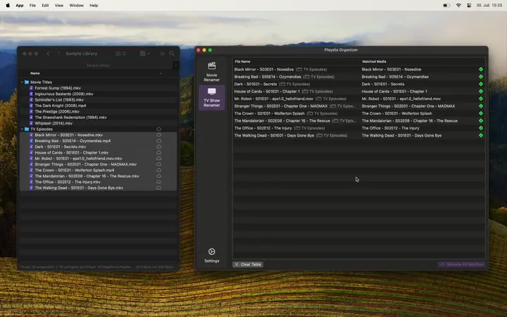 Pleydia Organizer after renaming matched TV episode files